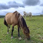 La Bergerie