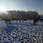 La Bergerie Дом отдыха *
