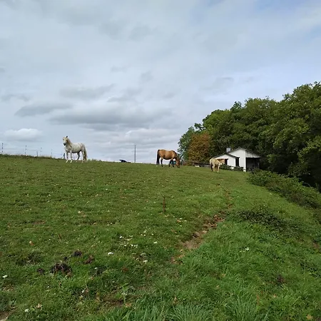 Dom wakacyjny La Bergerie