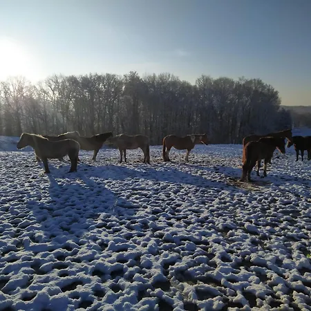 La Bergerie Prázdninový dům *