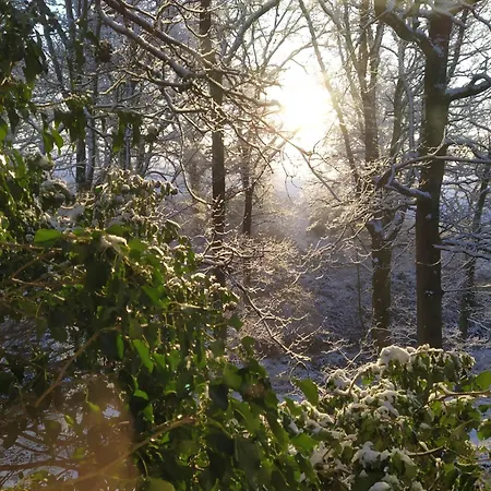 Dom wakacyjny La Bergerie