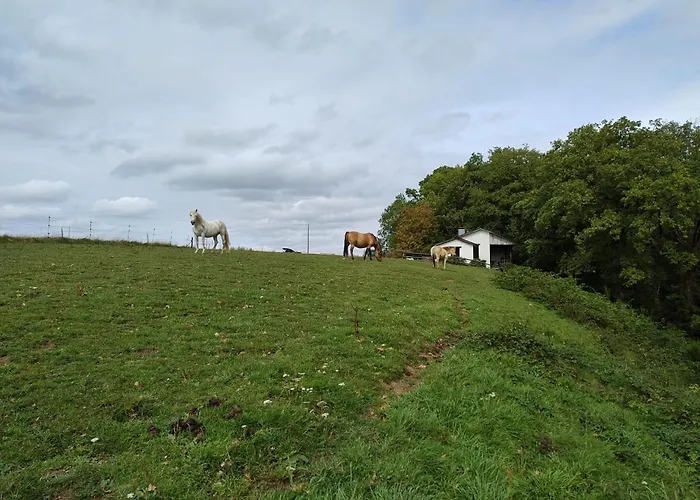 Ferienhaus La Bergerie