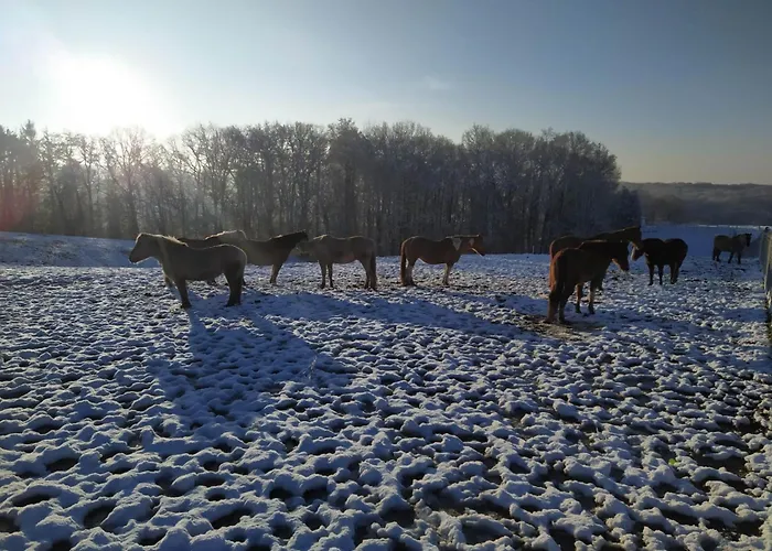 La Bergerie 度假居 *
