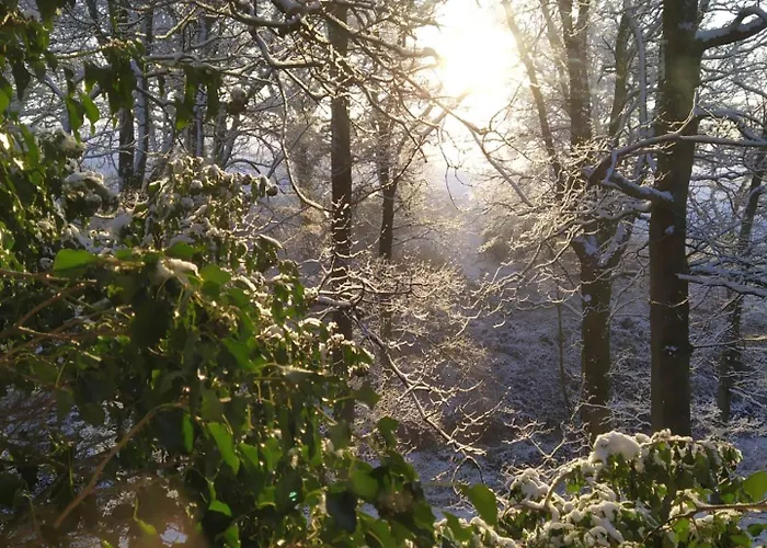 度假居 La Bergerie